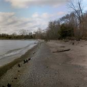 Beaches In Pickering