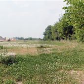 Centre View Drive