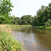 Credit River at Meadowvale Village