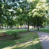 June Rowlands Park