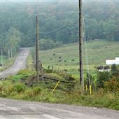 Bass Lake Road