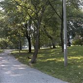 Humewood Park