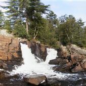 Wilson's Falls
