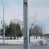 Wynford Drive