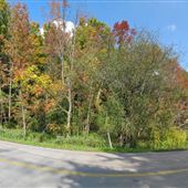 Sulphur Springs Road & Mineral Springs Road
