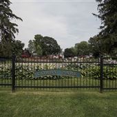 Corby Rose Garden
