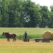 Mennonite Areas in Elmira, St Jacobs and Wallenstein