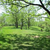 White Spruce Park