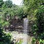 Borer's Falls