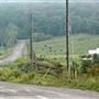 Bass Lake Road