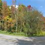 Sulphur Springs Road & Mineral Springs Road