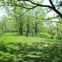 White Spruce Park
