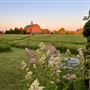 The Eddie Hotel and Farm