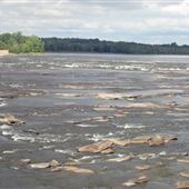 Deschenes Rapids