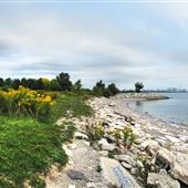 Humber Bay Park West and Marina
