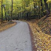 Lions Club Road
