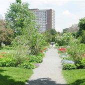 Maplelawn Garden