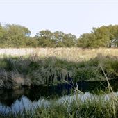 McLaughlin Bay Wildlife Reserve