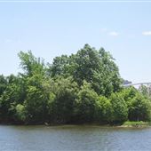 Minto Bridges