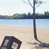 Mooney's Bay Beach and Park