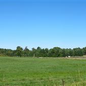 Southwood Road Muskoka District Road 13