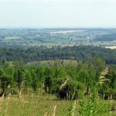Creemore Landscapes
