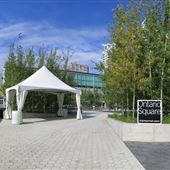 Harbourfront Centre