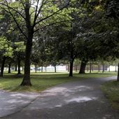 Beaches Park