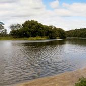 Wilson's Flats