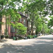Alcorn Avenue