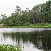 Grundy Lake Provincial Park