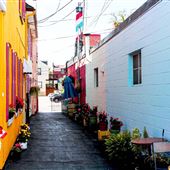 Acapulco Alley
