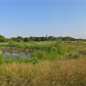 Arsenal Lands TRCA