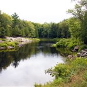 River at Ahmic Harbour