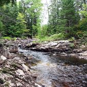 Seguin River Falls