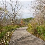 Cayuga Grand Vista