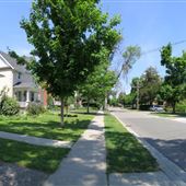 Elizabeth Street