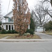 Neilson Avenue