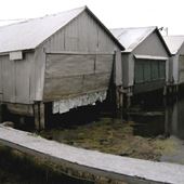 Long Point