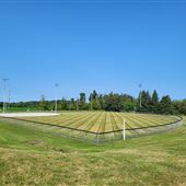 Guthrie Lions Ball Diamonds