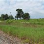Ottawa Valley Railway