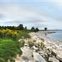 Humber Bay Park West and Marina