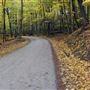 Lions Club Road