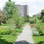 Maplelawn Garden