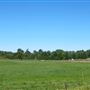 Southwood Road Muskoka District Road 13