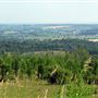 Creemore Landscapes