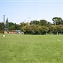 Sir Winston Churchill Park