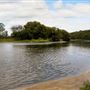 Wilson's Flats