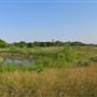 Arsenal Lands TRCA