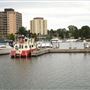 Bellevue Marina